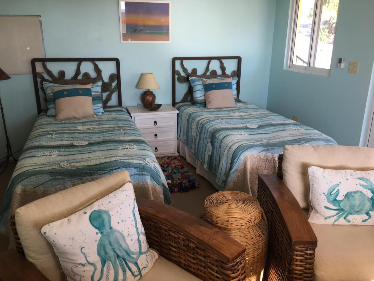 Casa Flores Casitas Todos Santos Exteriér fotografie