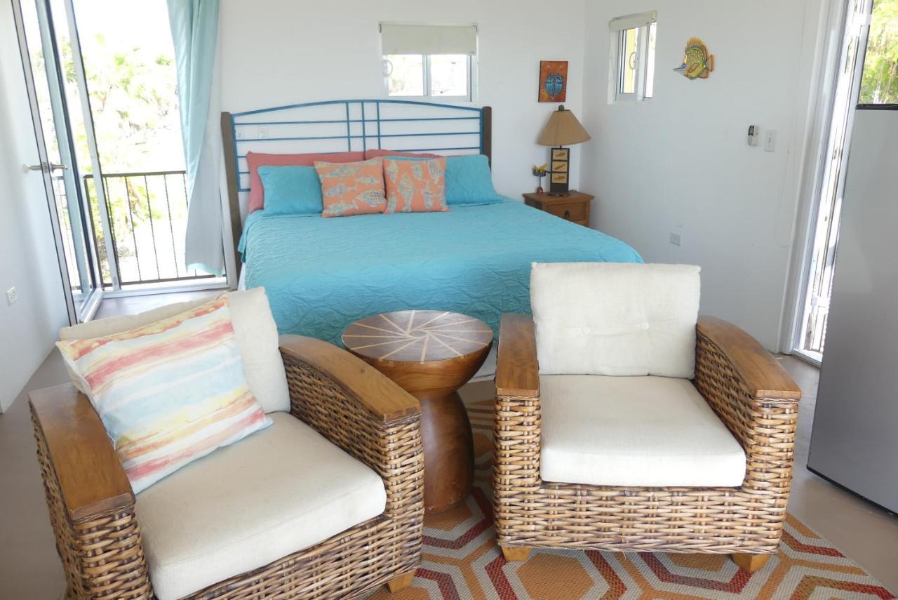 Casa Flores Casitas Todos Santos Exteriér fotografie
